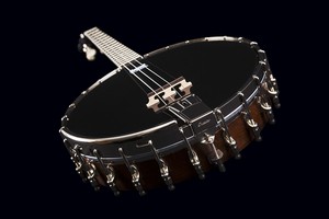 Irské banjo Brdy/ Open back