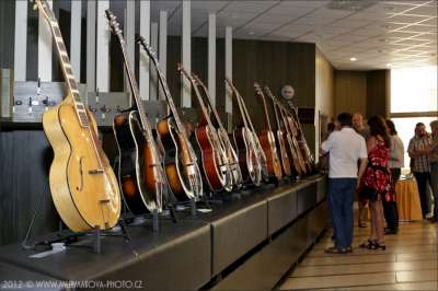 Výstava akustických kytar 2012